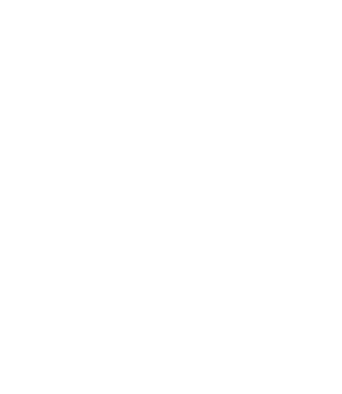 bin10